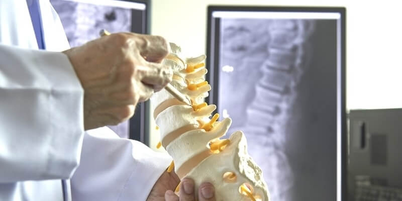  Fun Facts About Bones