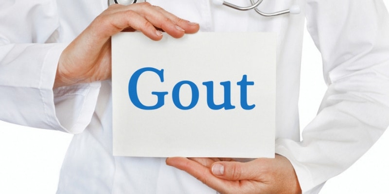  Gout