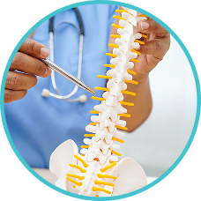 Spine Surgery